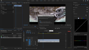 Audiovisual Com A Ia Scene Edit Detection